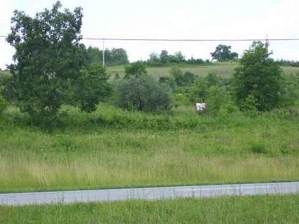 Primary Photo Of Industry Dr, Jackson Land For Sale