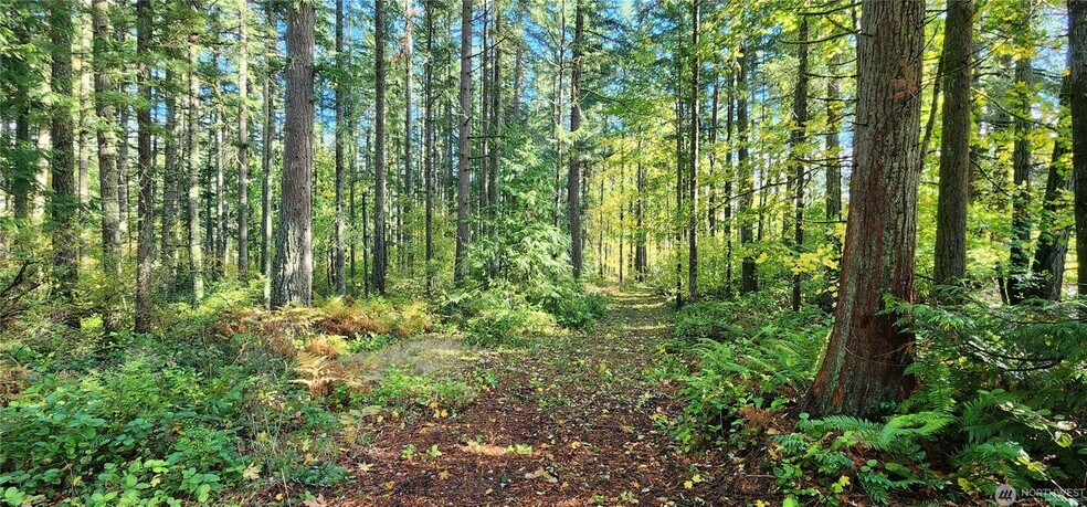 More Photos Of 1216 Kaiser Rd SW, Olympia Land For Sale