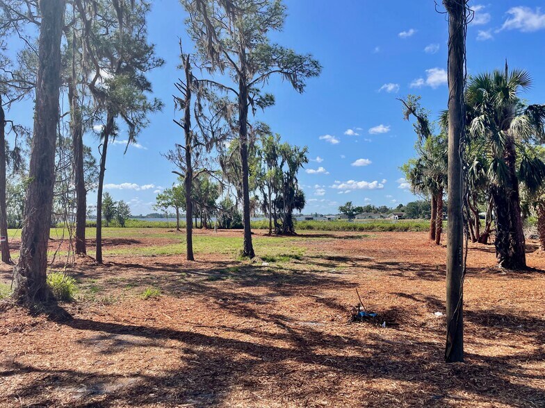 More Photos Of 745 US 17/92 Hwy, Lake Alfred Land For Sale