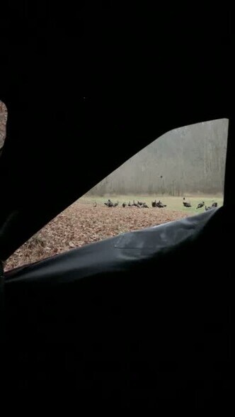 More Photos Of 920 Graves Rd, Bowling Green Land For Sale