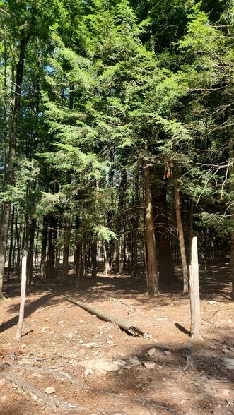 More Photos Of 127 Blum Rd, Equinunk Land For Sale