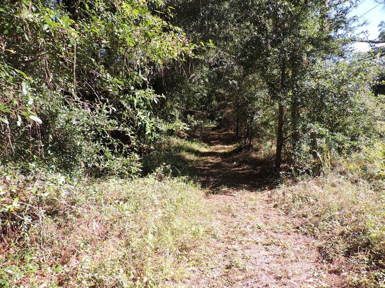 More Photos Of 2935 New Berlin Rd, Jacksonville Land For Sale