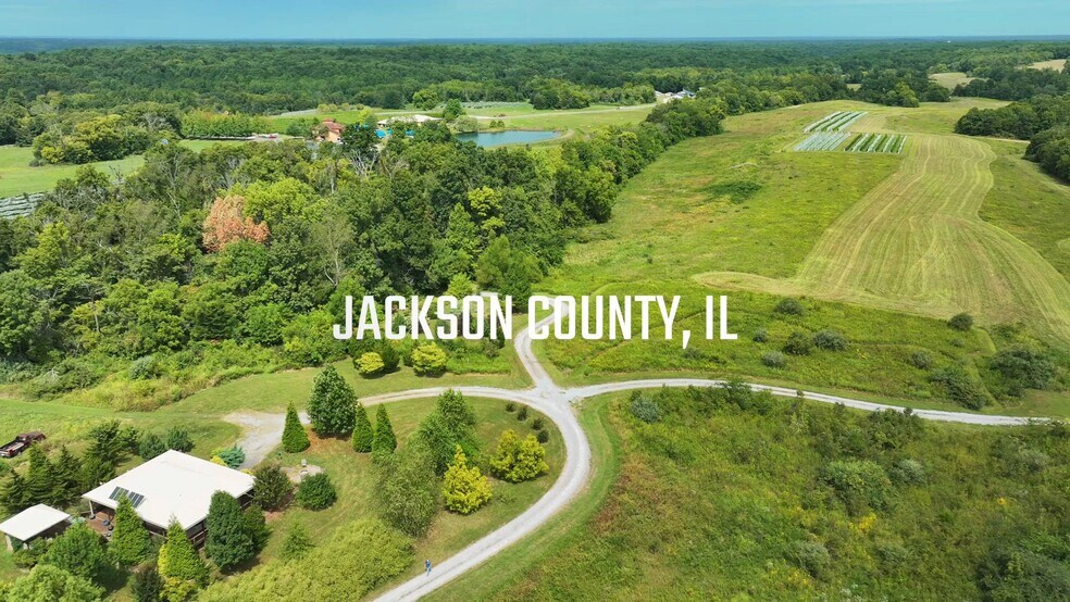 Primary Photo Of 295 Panthers Den Rd, Makanda Hotel For Sale