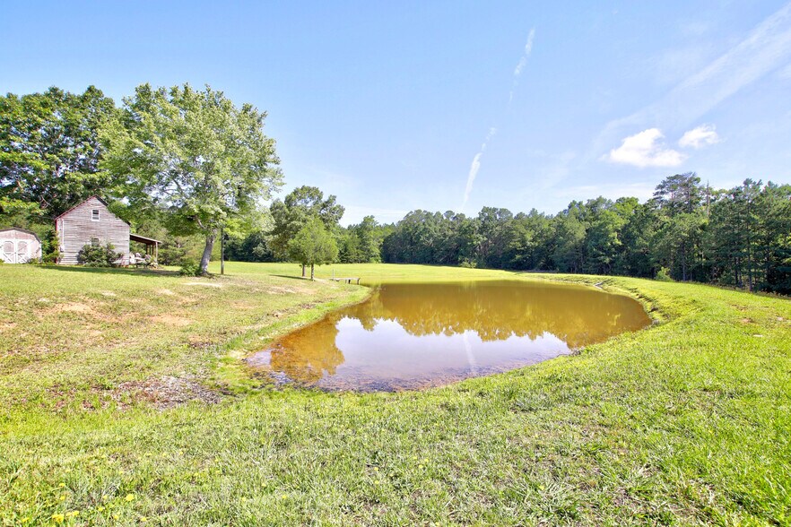 More Photos Of 3140 Highway 702, Chappells Land For Sale