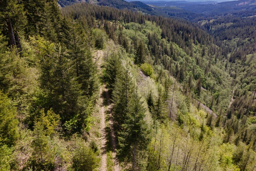 More Photos Of 0 Snag Mountain Road, Washougal Land For Sale