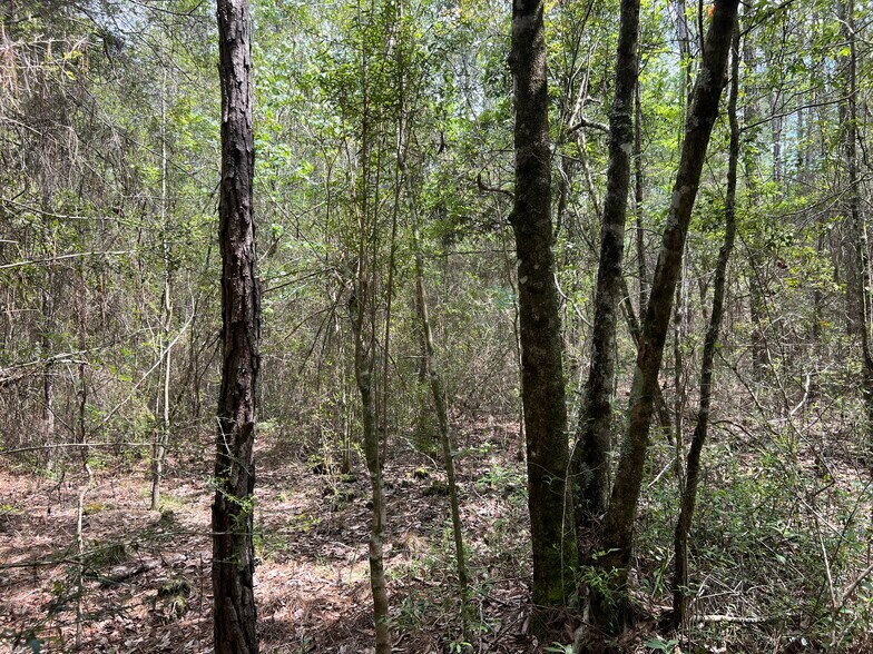 More Photos Of 0 Hwy 63, Moss Point Land For Sale