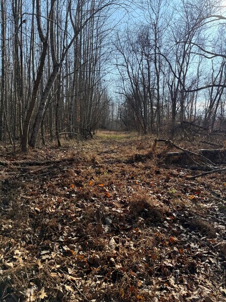 More Photos Of 4604 Summersville Rd, Campbellsville Land For Sale