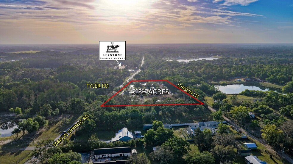 More Photos Of 12980 Tarpon Springs Rd, Odessa Land For Sale