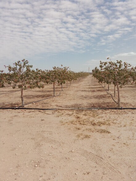 More Photos Of 7074 Kevil Rd, Carlsbad Land For Sale