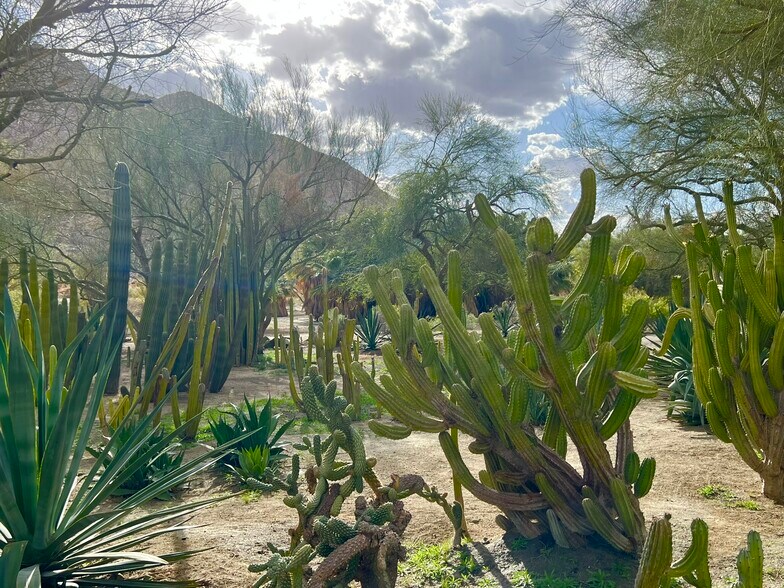 More Photos Of 82501 65th Ave, Thermal Land For Sale