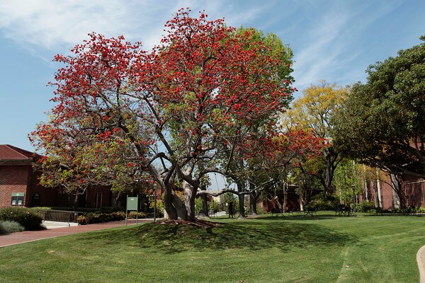More Photos Of 1000 S Fremont Ave, Alhambra Office For Lease