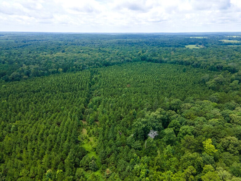 More Photos Of 2539 FM 995, Atlanta Land For Sale