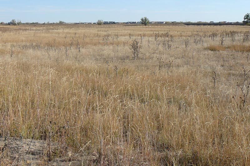 More Photos Of 1970 Imboden rd, Watkins Land For Sale