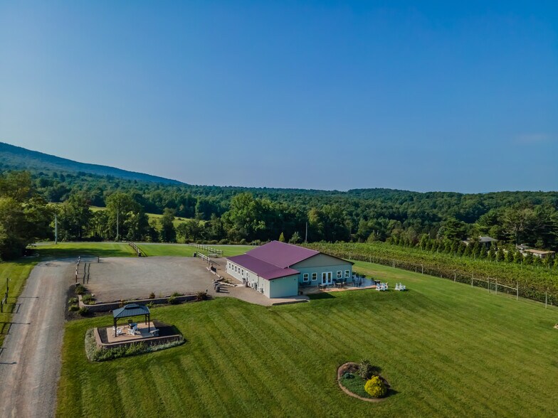 More Photos Of 596 Harman Rd, Halifax Winery Vineyard For Sale