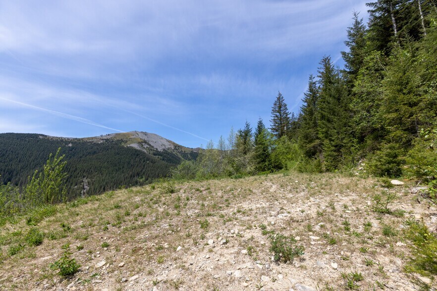 More Photos Of 0 Snag Mountain Road, Washougal Land For Sale