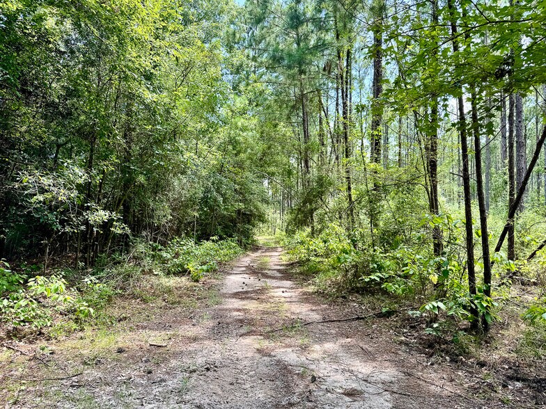 More Photos Of 0 Slim Palmer Road, Zavalla Land For Sale