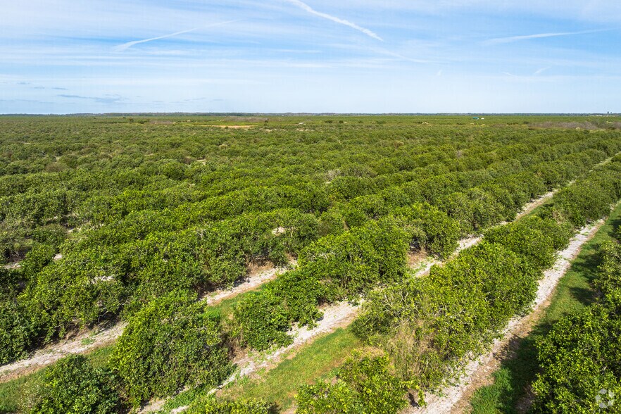 More Photos Of 8476 Ten Mile Grade, Zolfo Springs Land For Sale