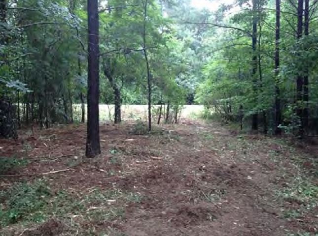 More Photos Of 1600 Klondike Rd, Conyers Land For Sale