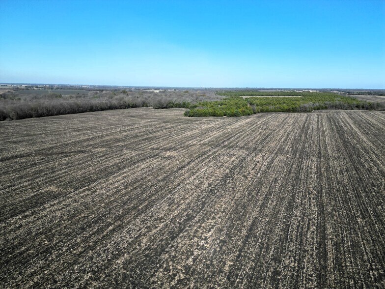 More Photos Of 1 County Road 4914, Ladonia Land For Sale