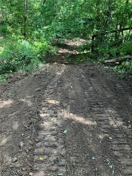 More Photos Of N3953 Bear Pen Rd, Arkansaw Land For Sale