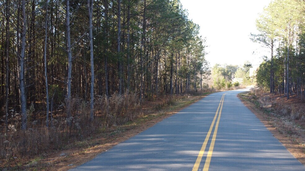 More Photos Of VFW Road and Market Centre Drive, Cornelia Land For Sale