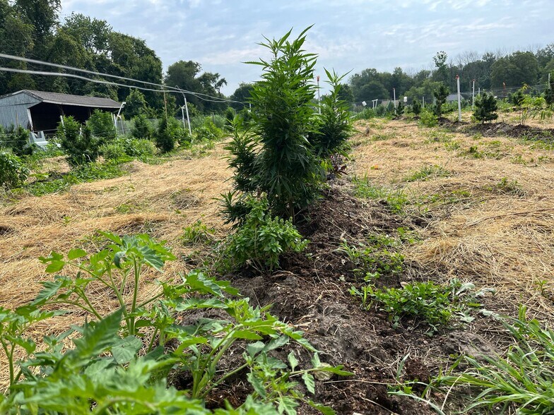 More Photos Of 149 Brindletown Rd, New Egypt Land For Lease