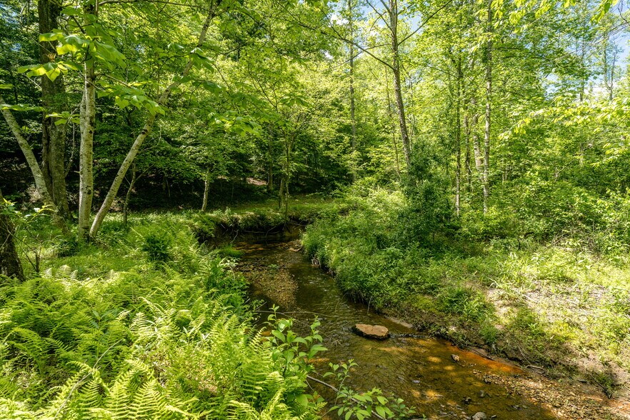 More Photos Of tbd Green Creek Rd, Schuyler Land For Sale