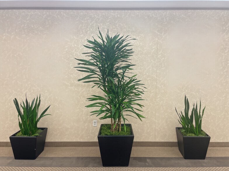 More Photos Of 800 S Gay St, Knoxville Coworking Space