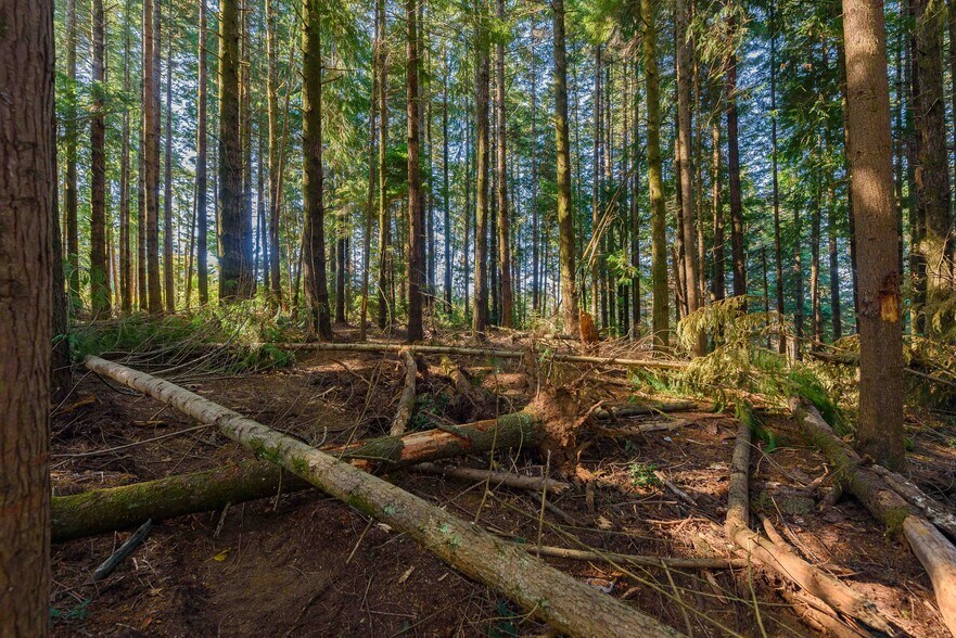More Photos Of 0 Newmark ave, North Bend Land For Sale