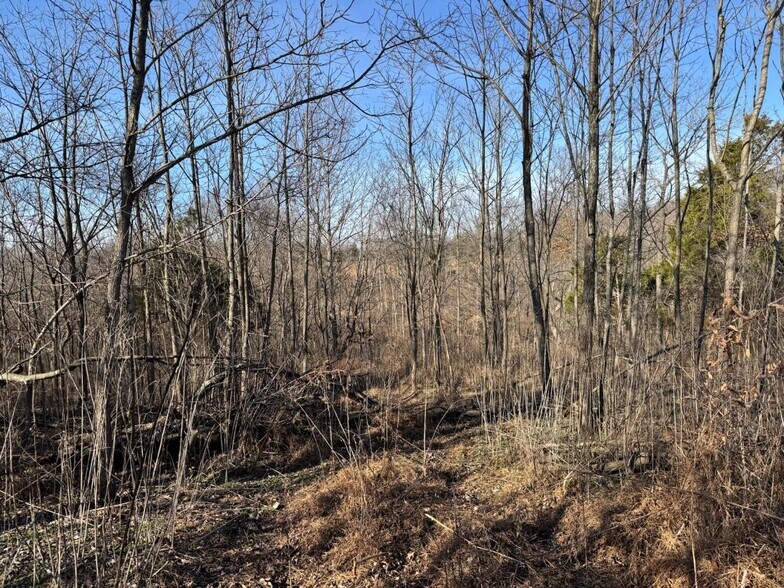 More Photos Of 1050 Stiles Ford Rd, Hodgenville Land For Sale