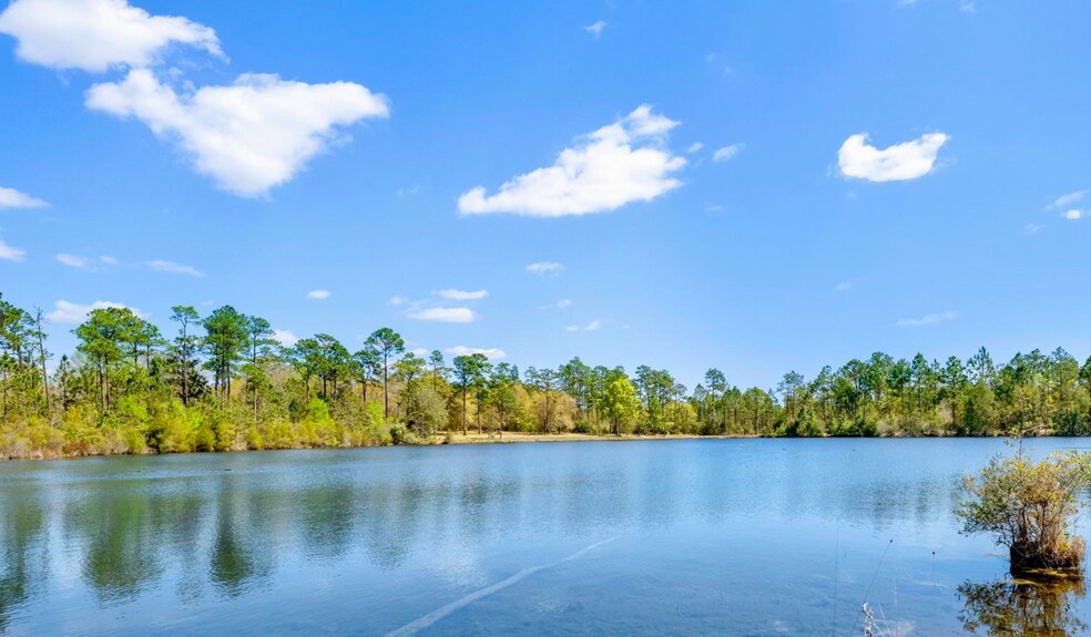 More Photos Of 4 Red Feather Dr, Seminole Land For Sale