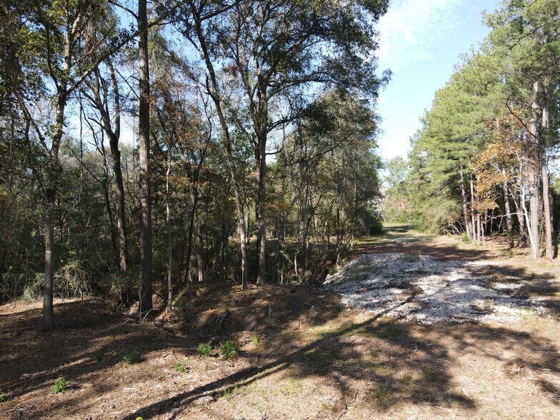 More Photos Of 00 Spur 149 Rd, Magnolia Land For Sale