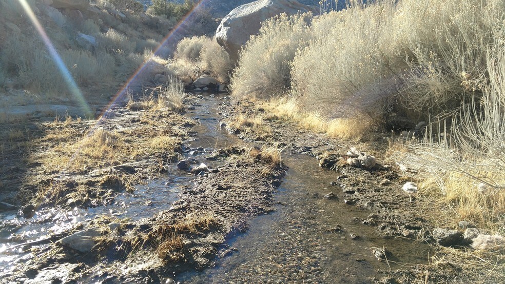 Primary Photo Of Kelso Valley Rd, Weldon Land For Sale