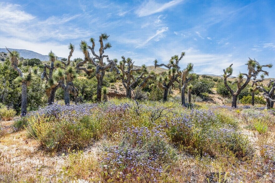 More Photos Of 23103 Yucca Circle Rd, Llano Land For Sale