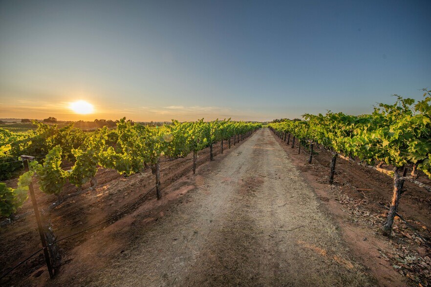 More Photos Of 21365 Shenandoah School Rd, Plymouth Winery Vineyard For Sale