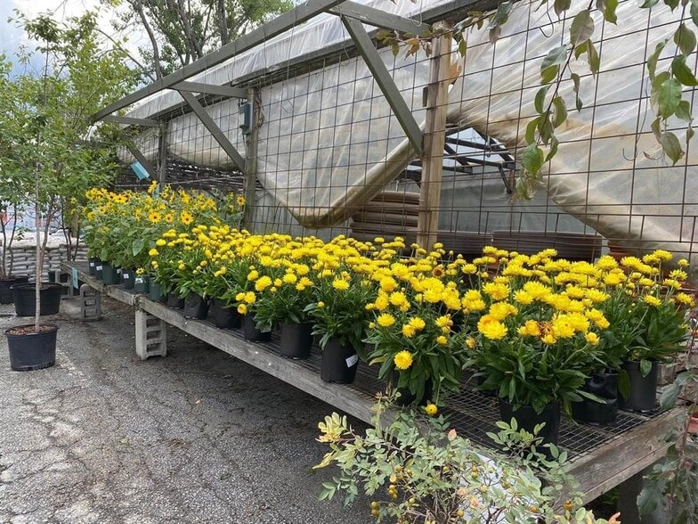 More Photos Of 535 US Route 302, Berlin Storefront For Sale