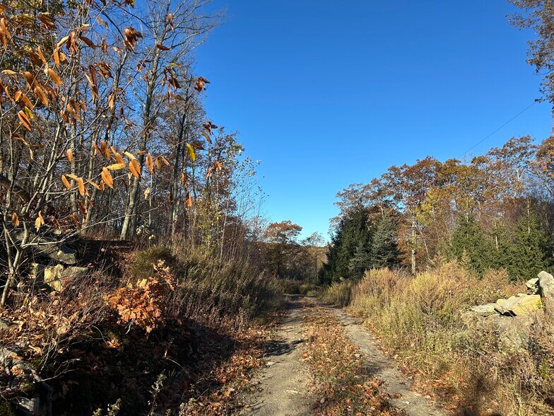 More Photos Of 545 Grape Hollow Rd, Holmes Land For Sale