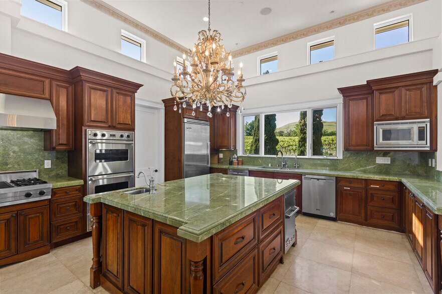 More Photos Of 3001 Sears Point Rd, Sonoma Winery Vineyard For Sale