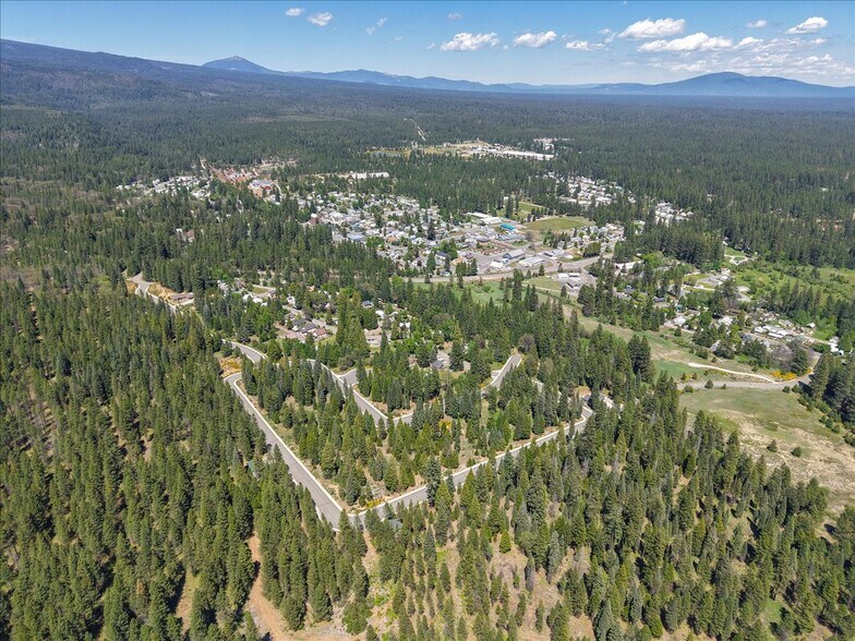 More Photos Of 200 Old Mill Dr, Mccloud Land For Sale