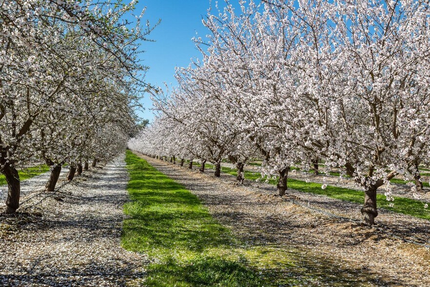 More Photos Of 4543 McGee Ave, Modesto Land For Sale