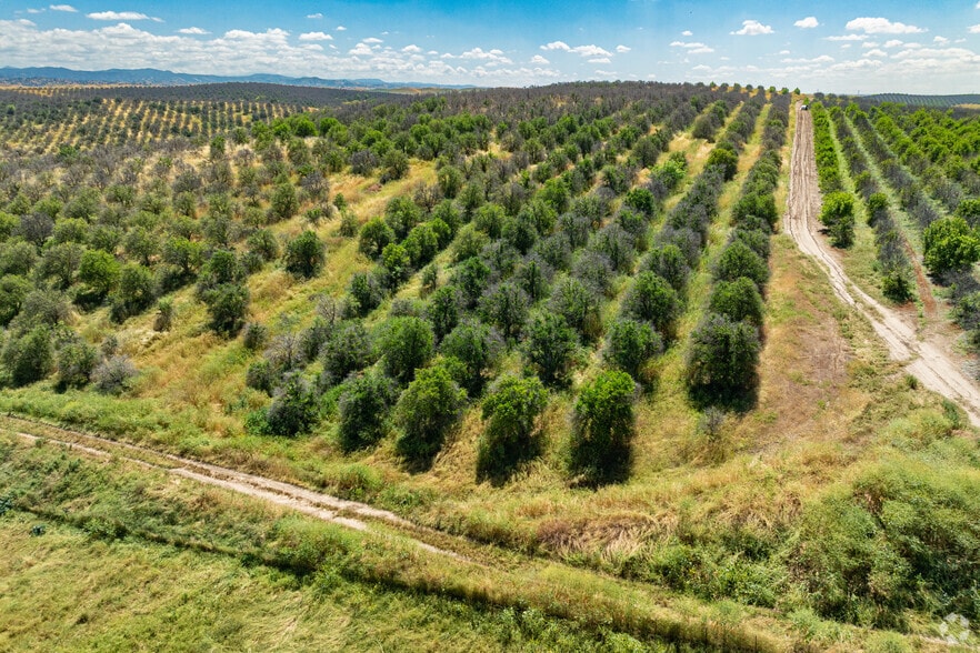 More Photos Of Road M-1 Rd, Ducor Land For Sale