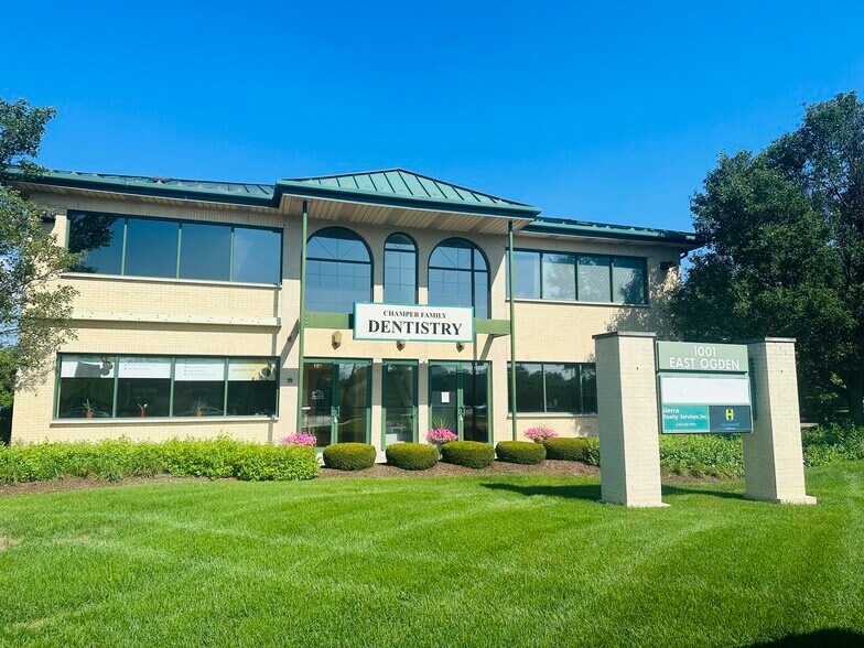 Primary Photo Of 1001 E Ogden Ave, Naperville Medical For Lease