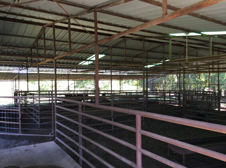 More Photos Of 5655 Co 171 rd, Celina Land For Sale