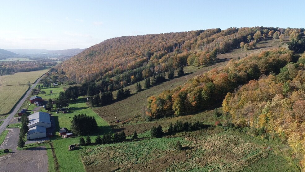 More Photos Of 1135 Toggenburg Rd, Fabius Land For Sale