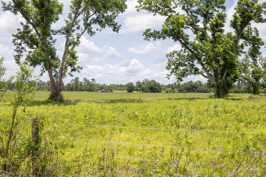 More Photos Of 000 US Highway 90, Live Oak Land For Sale