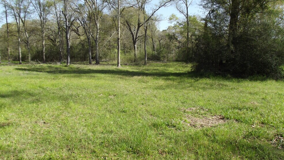 More Photos Of 24030 Hegar Rd, Hockley Land For Sale