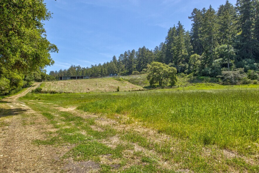 More Photos Of 5090 La Honda Rd, San Gregorio Land For Sale