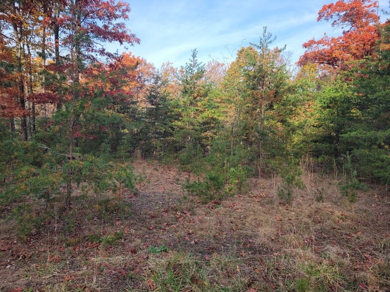 More Photos Of Lot 26 Cabin Run -1, Bloomery Land For Sale