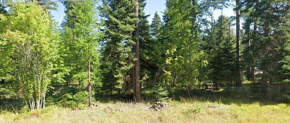 More Photos Of 595 Wapiti ln, Bigfork Land For Sale