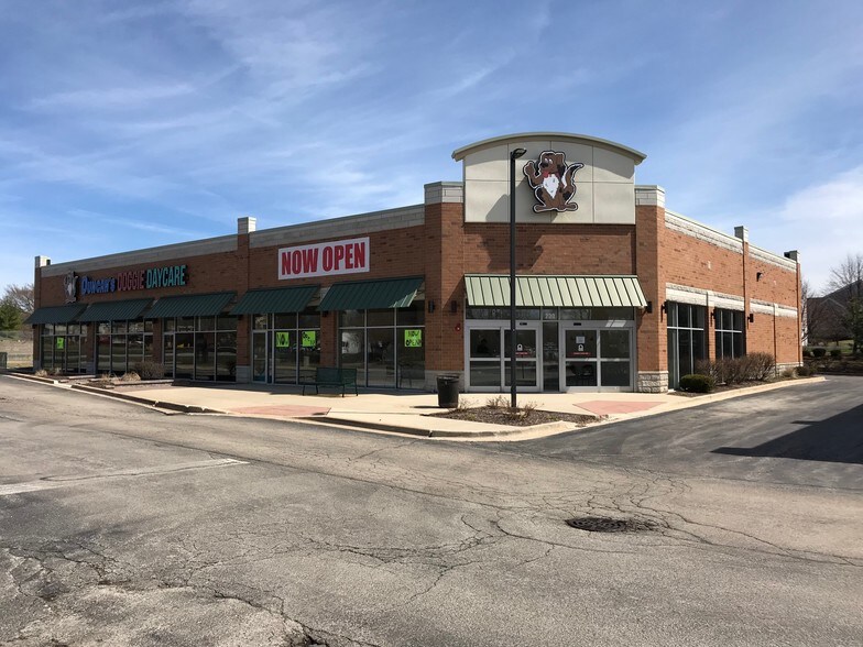 Primary Photo Of 230 N Bolingbrook Dr, Bolingbrook Freestanding For Lease